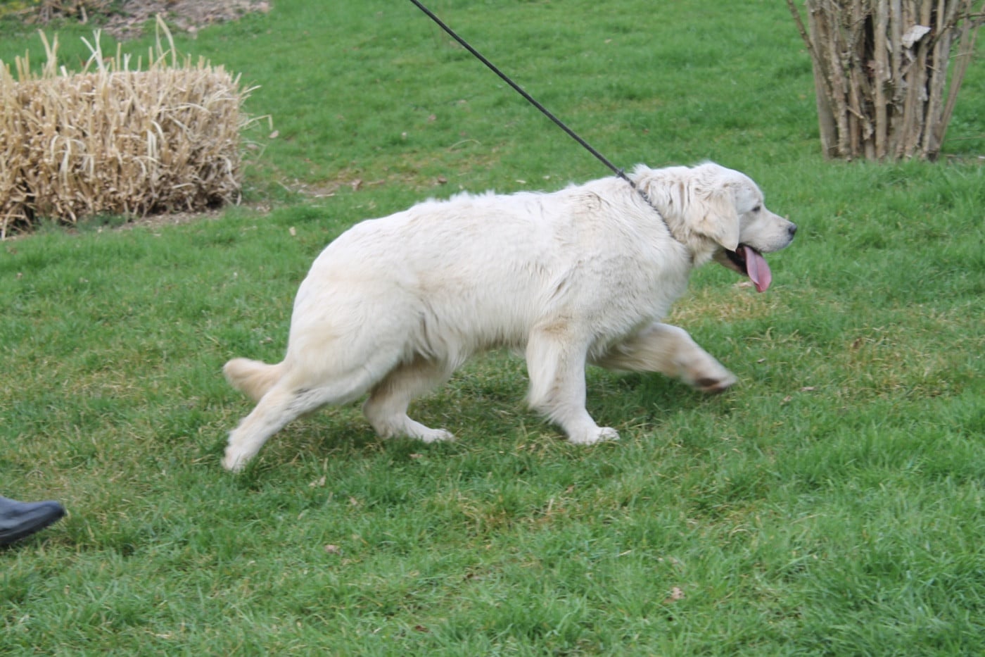 Publication : Du rivage des mille etangs