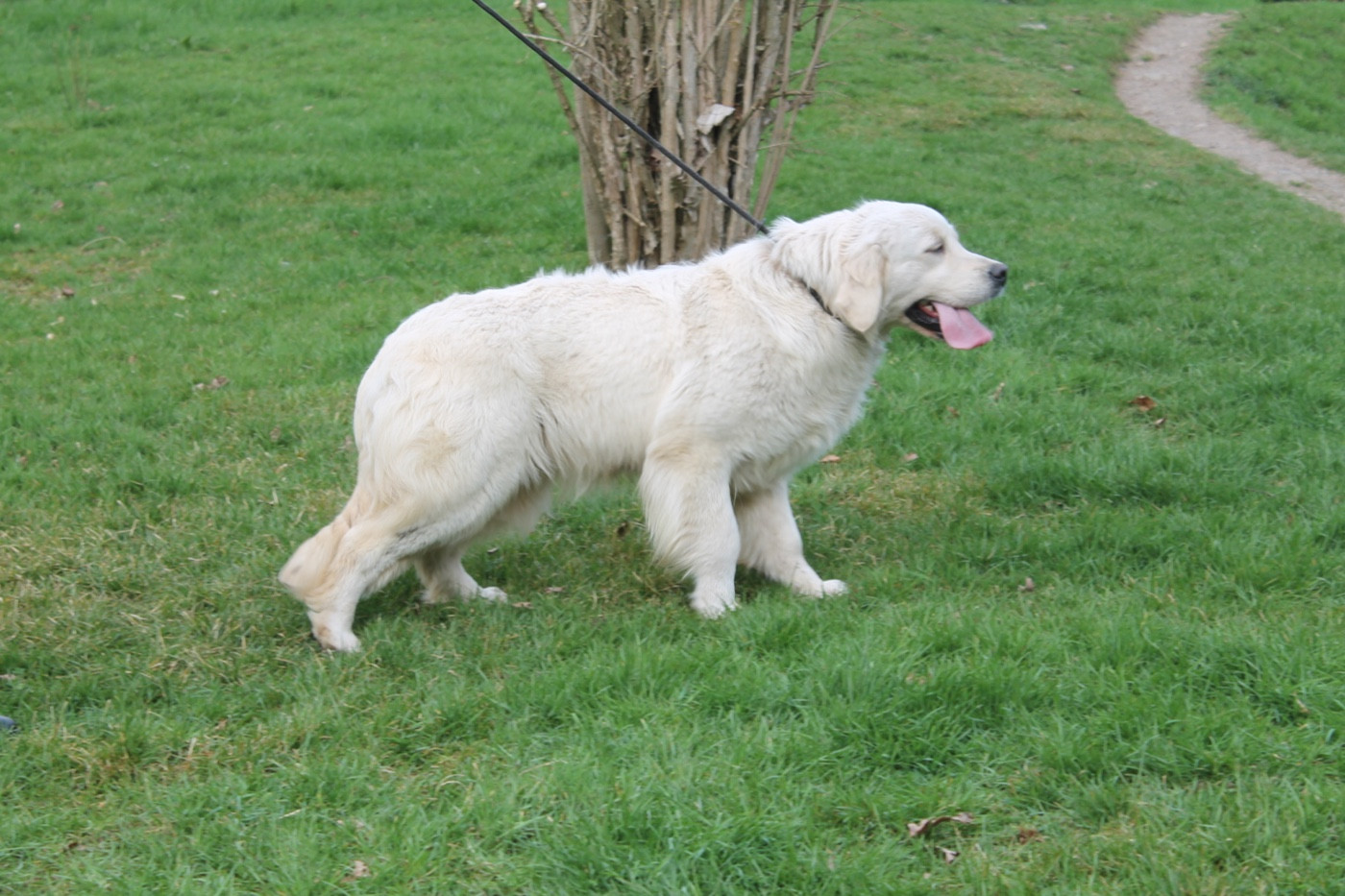 Publication : Du rivage des mille etangs