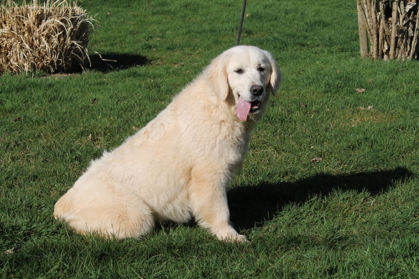 Publication : Du rivage des mille etangs Auteur : Christelle le 12 mars 2026