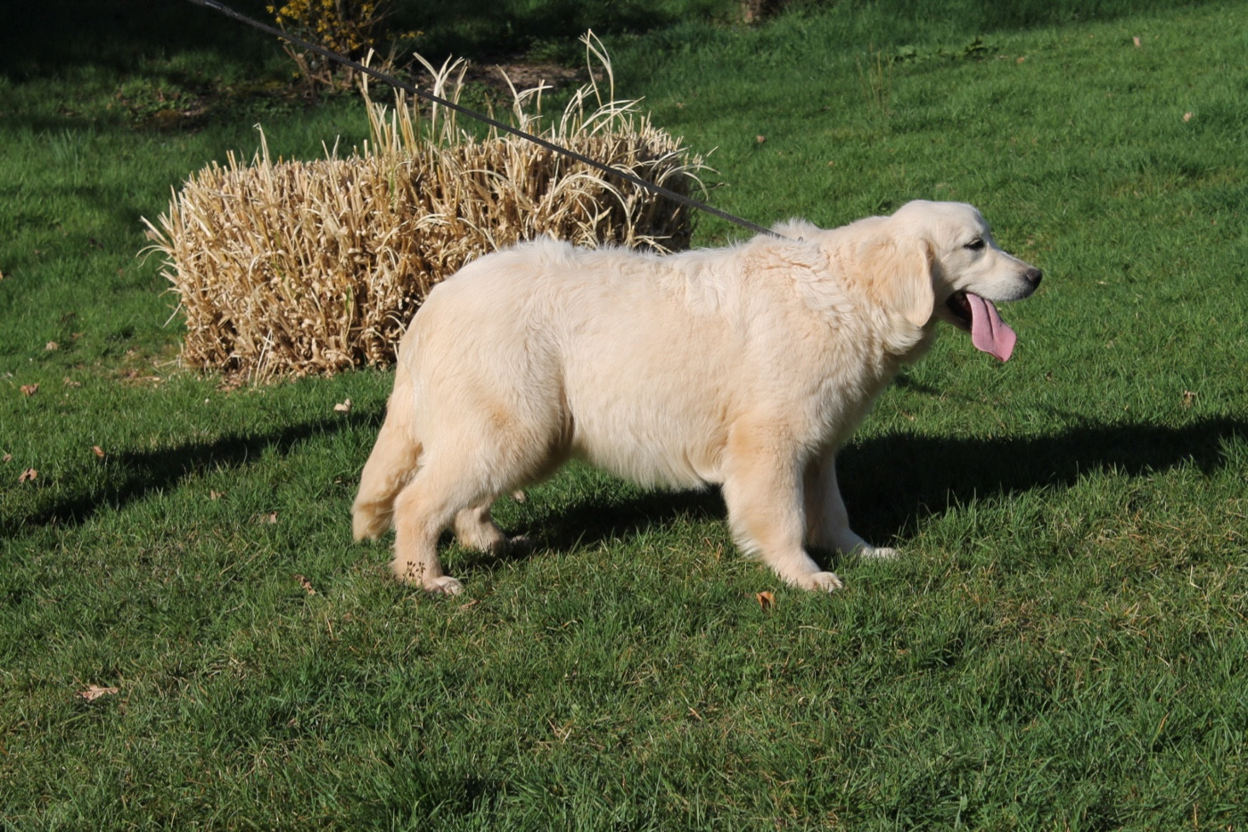 Publication : Du rivage des mille etangs Auteur : Christelle le 12 mars 2026