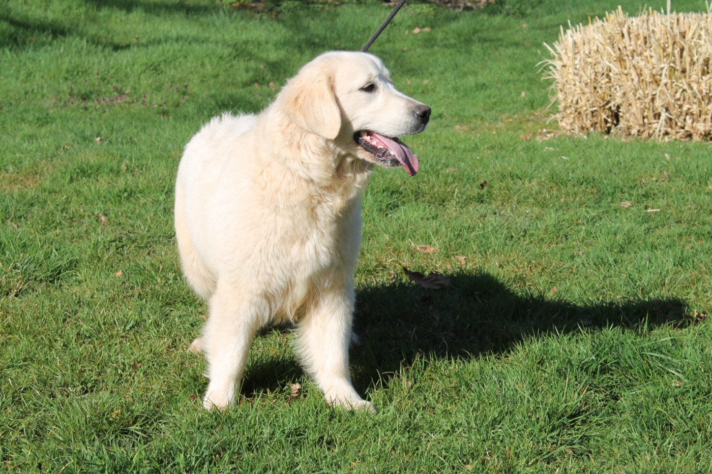 Publication : Du rivage des mille etangs Auteur : Christelle le 12 mars 2026