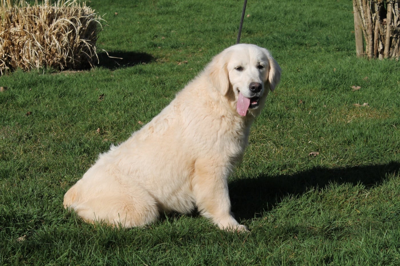 Publication : Du rivage des mille etangs Auteur : Christelle le 12 mars 2026