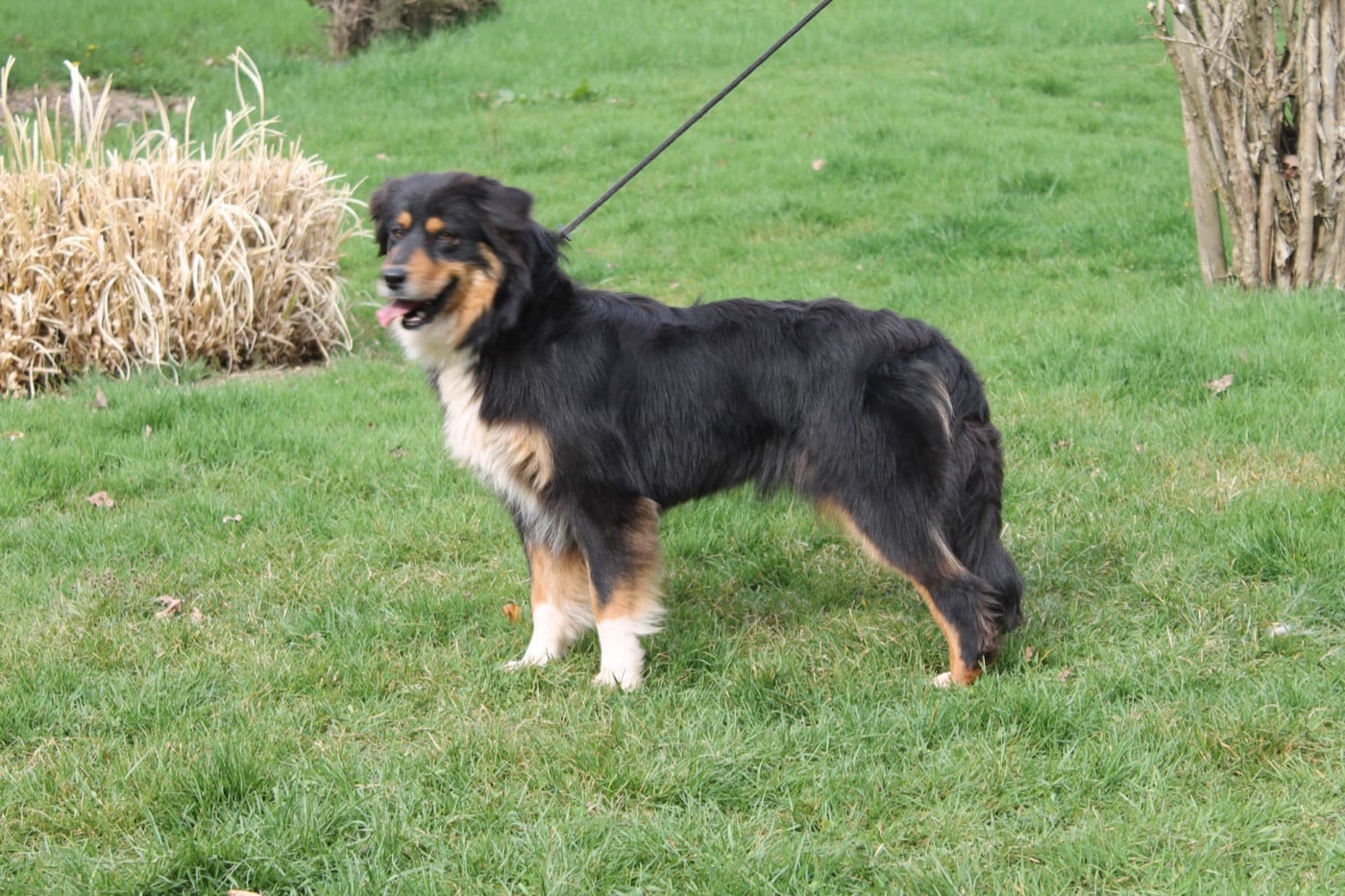 Union sacrée Du rivage des mille etangs