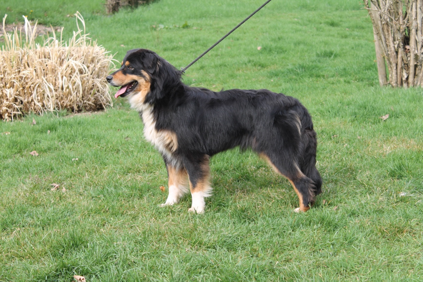 Union sacrée Du rivage des mille etangs