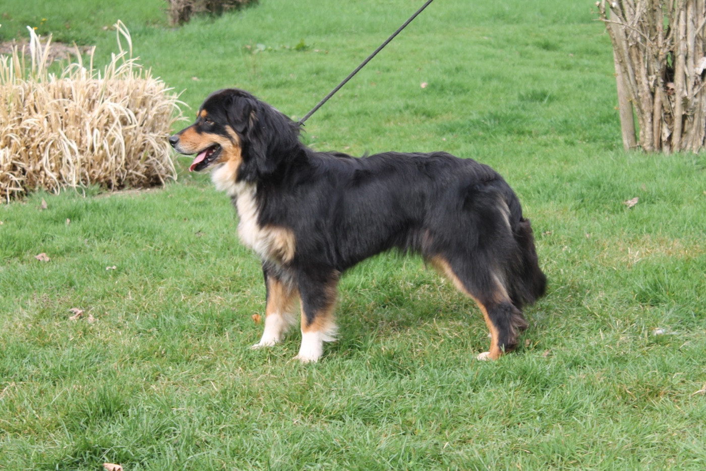 Union sacrée Du rivage des mille etangs