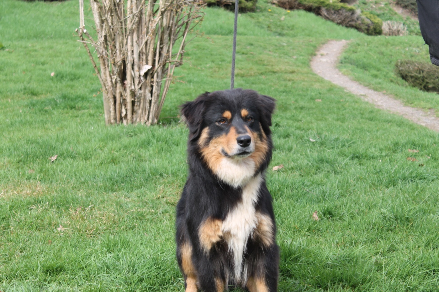 Union sacrée Du rivage des mille etangs