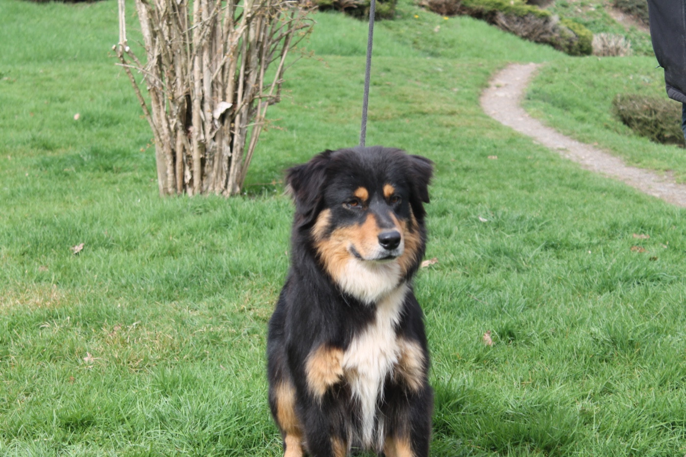 Union sacrée Du rivage des mille etangs