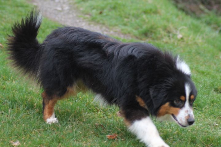 Publication : Du rivage des mille etangs Auteur : Christelle Sarrazin