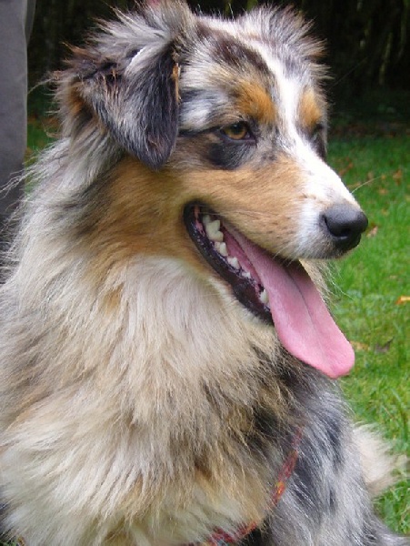 C'kiona Du rivage des mille etangs