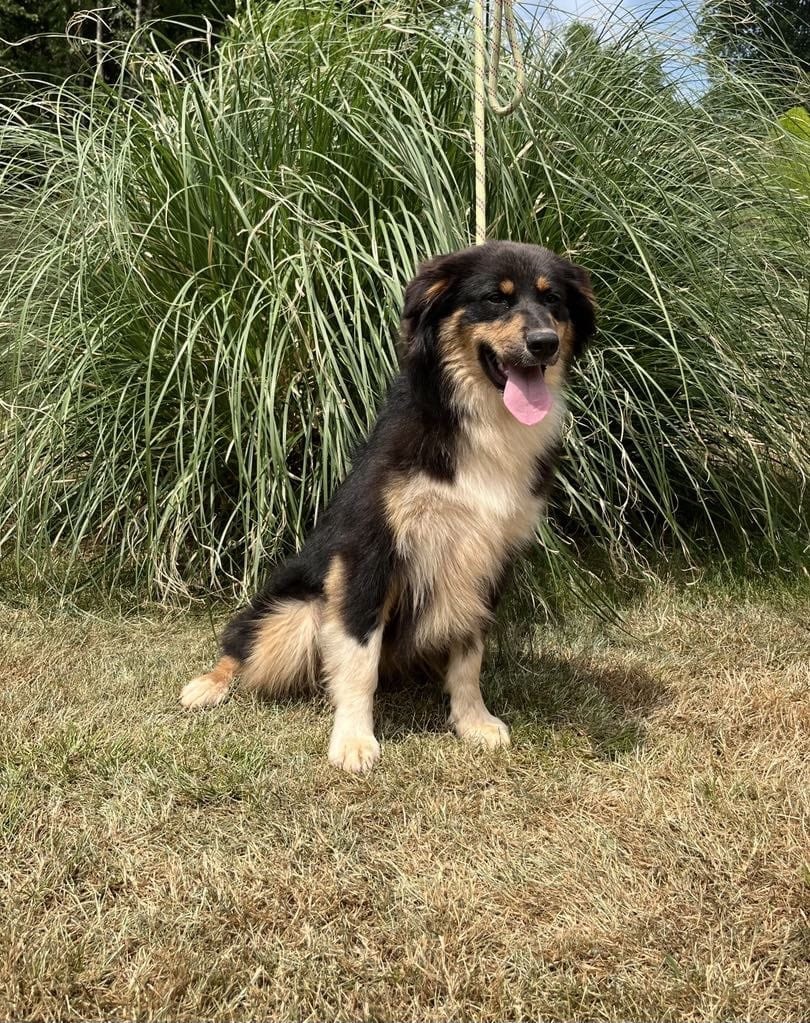 V' flash Du rivage des mille etangs