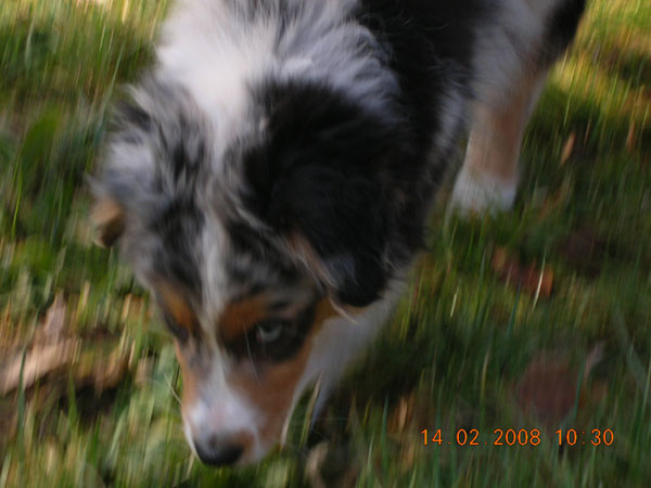 C'kiona Du rivage des mille etangs