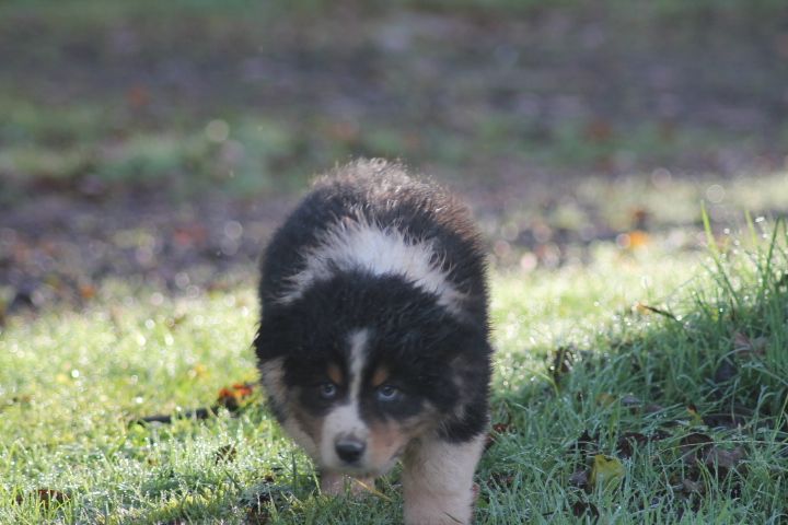 Publication : Du rivage des mille etangs Auteur : Christelle