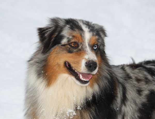 C'kiona Du rivage des mille etangs