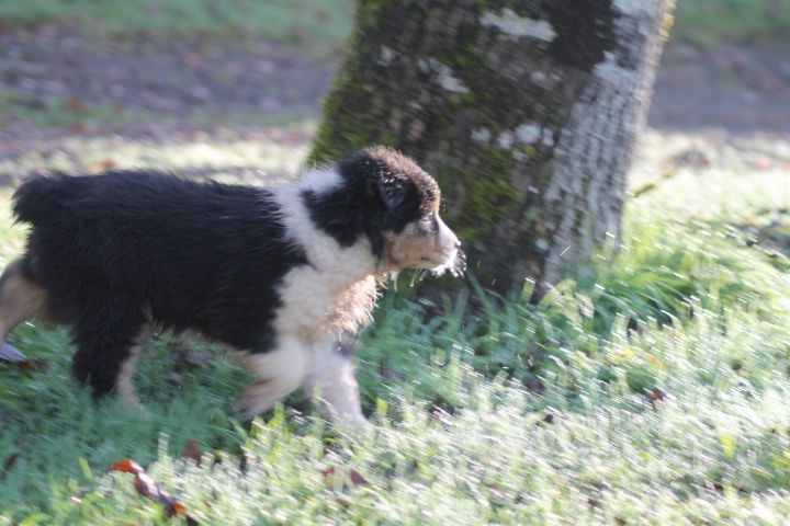 Publication : Du rivage des mille etangs Auteur : Christelle