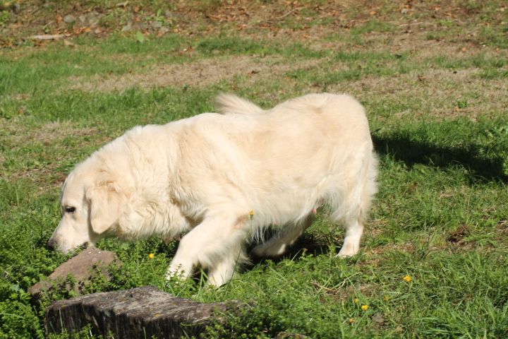 Publication : Du rivage des mille etangs Auteur : Christelle