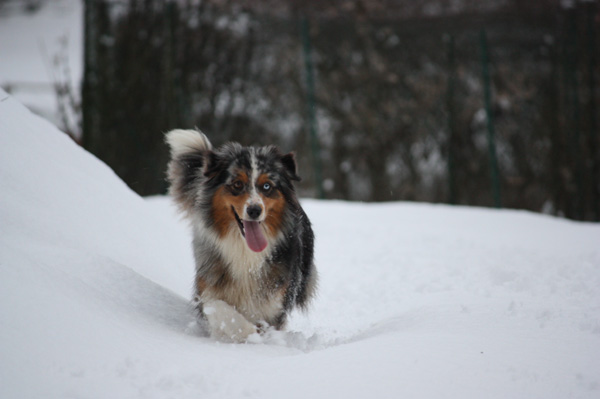 C'kiona Du rivage des mille etangs