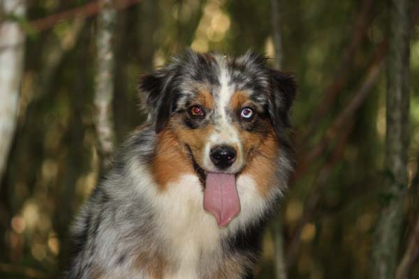 C'kiona Du rivage des mille etangs