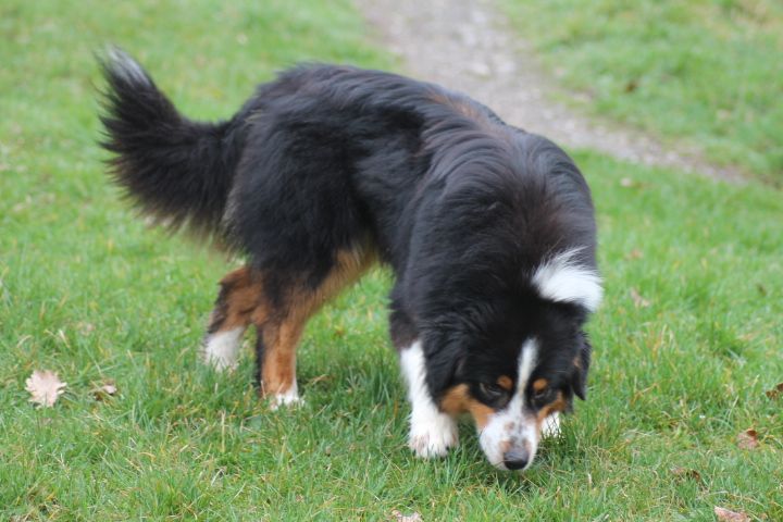 Publication : Du rivage des mille etangs Auteur : Christelle Sarrazin