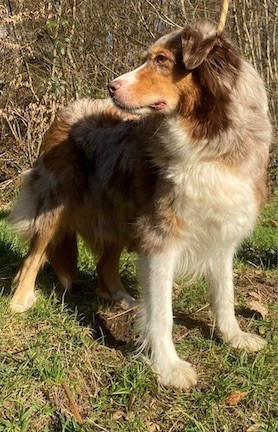 Publication : Du rivage des mille etangs