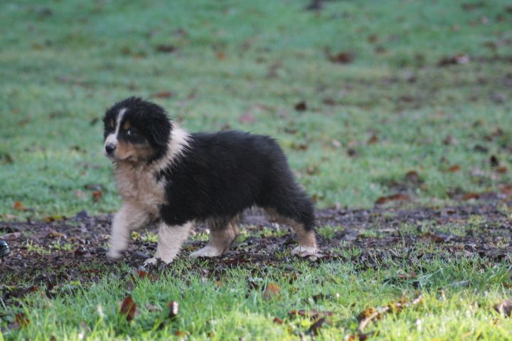 Publication : Du rivage des mille etangs Auteur : Christelle