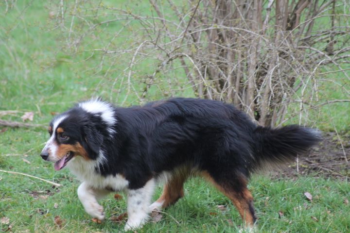 Publication : Du rivage des mille etangs Auteur : Christelle Sarrazin