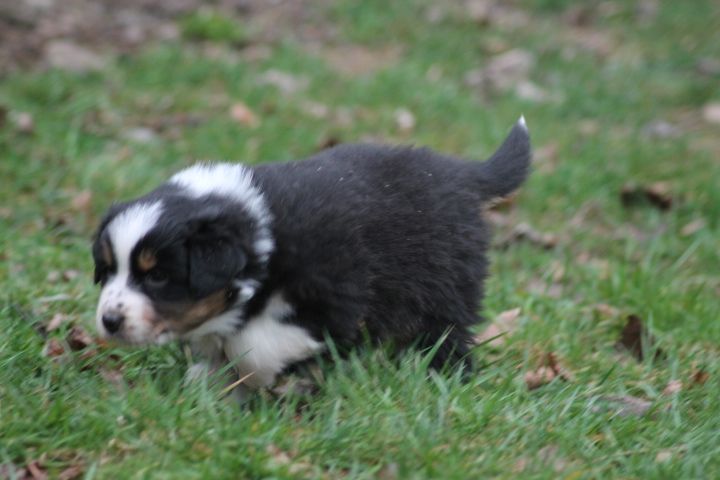 Publication : Du rivage des mille etangs Auteur : Christelle Sarrazin