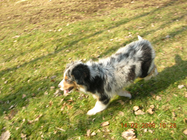 C'kiona Du rivage des mille etangs