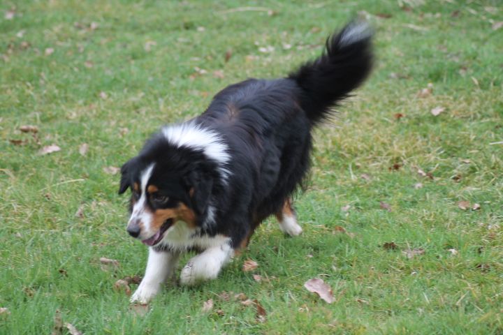 Publication : Du rivage des mille etangs Auteur : Christelle Sarrazin