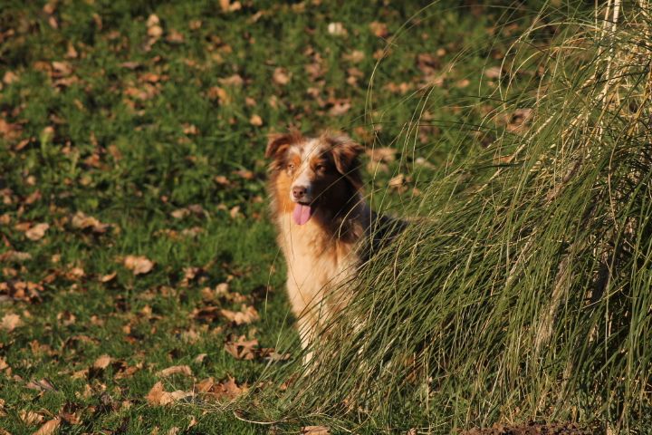 Publication : Du rivage des mille etangs