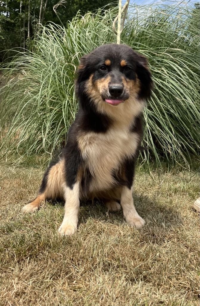 V' flash Du rivage des mille etangs