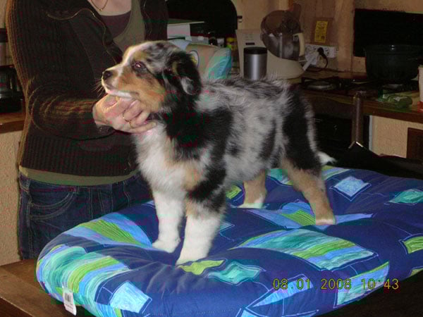 C'kiona Du rivage des mille etangs