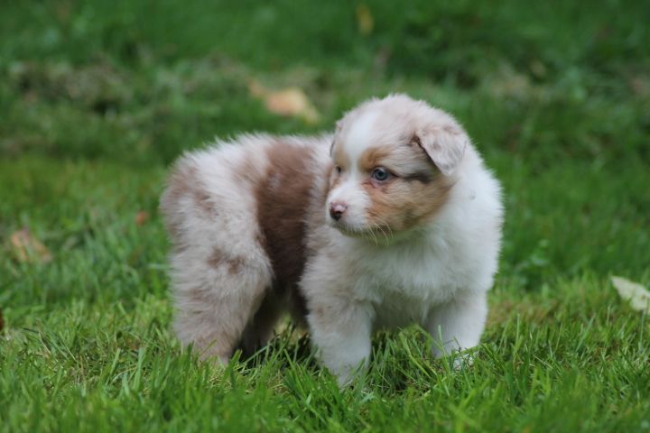 Publication : Du rivage des mille etangs Auteur : Christelle Sarrazin