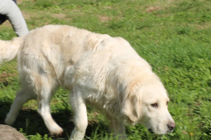 Publication : Du rivage des mille etangs Auteur : Christelle