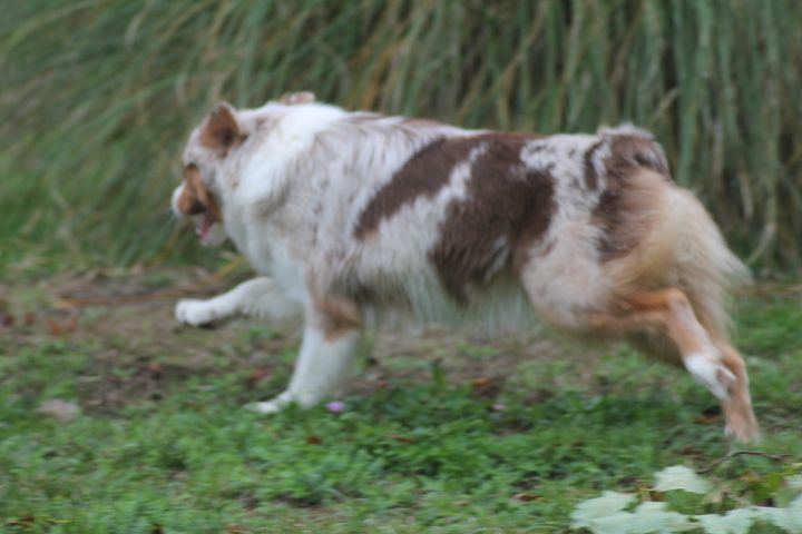 Publication : Du rivage des mille etangs Auteur : Christelle Sarrazin