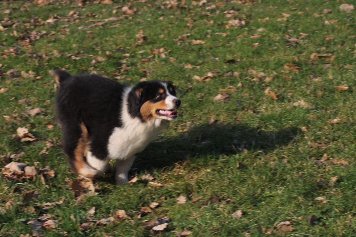 Publication : Du rivage des mille etangs Auteur : Christelle