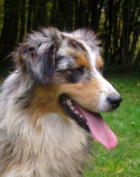 C'kiona Du rivage des mille etangs