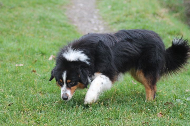 Publication : Du rivage des mille etangs Auteur : Christelle Sarrazin