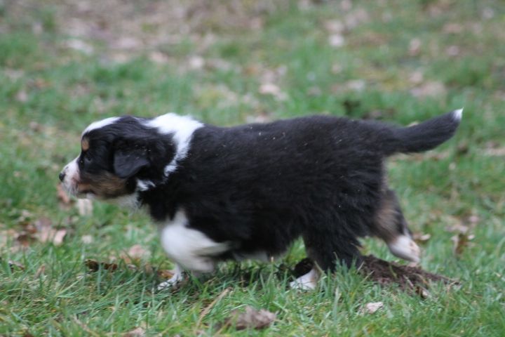 Publication : Du rivage des mille etangs Auteur : Christelle Sarrazin