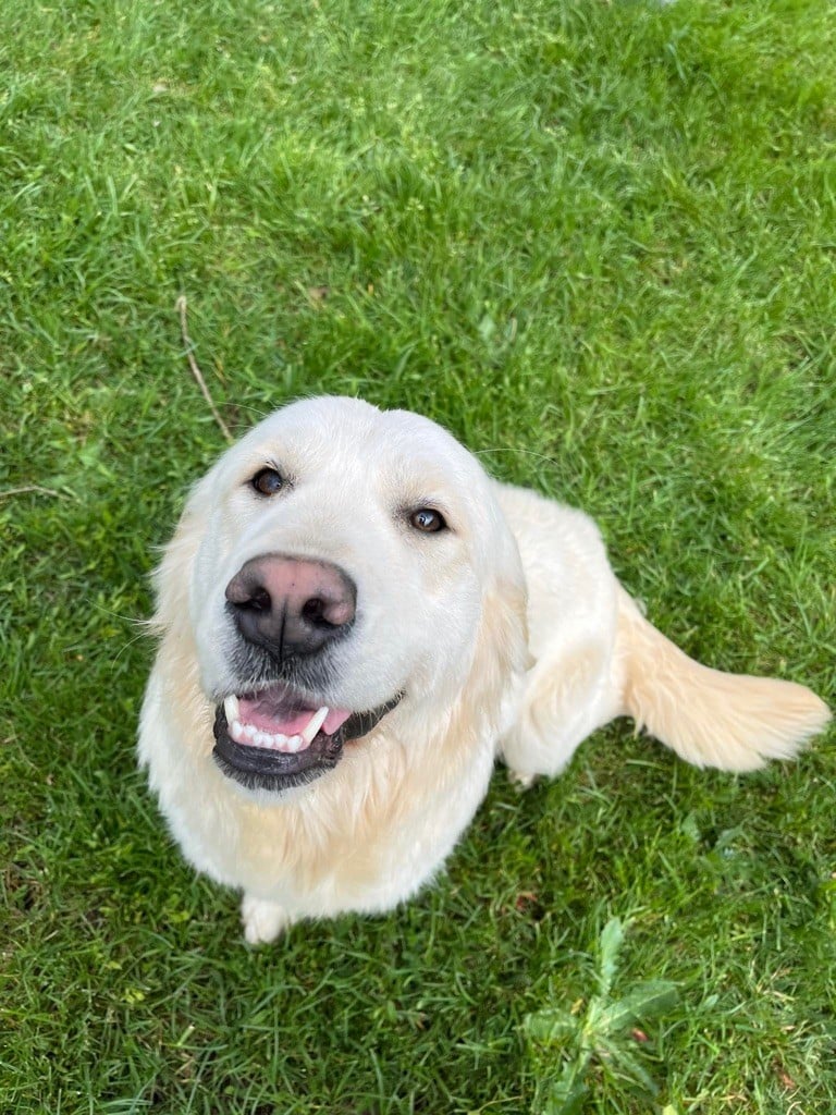 Publication : Du rivage des mille etangs Auteur : Christelle 06 juillet 2023