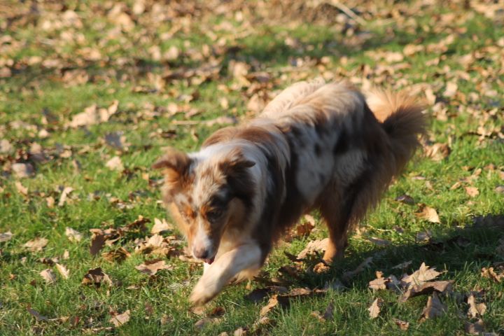 Publication : Du rivage des mille etangs