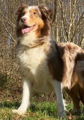 Publication : Du rivage des mille etangs