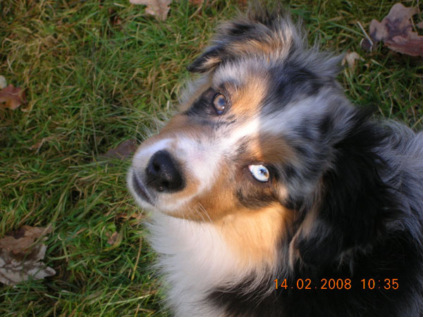 C'kiona Du rivage des mille etangs