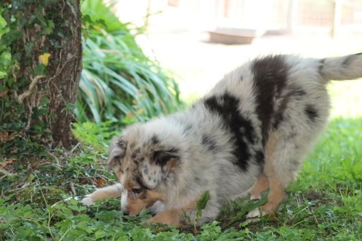 Publication : Du rivage des mille etangs Auteur : Christelle