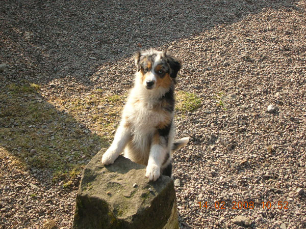 C'kiona Du rivage des mille etangs