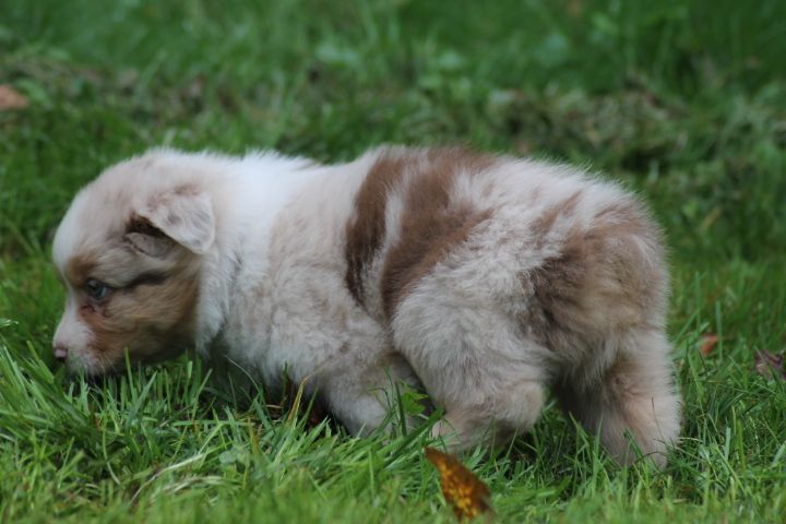 Publication : Du rivage des mille etangs Auteur : Christelle Sarrazin