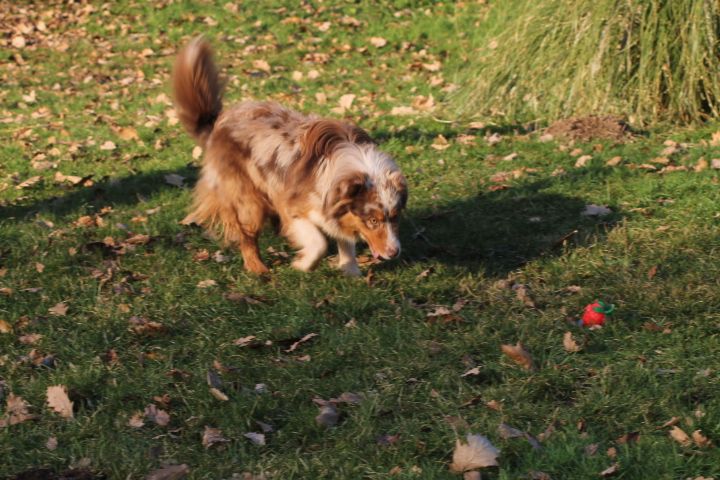 Publication : Du rivage des mille etangs