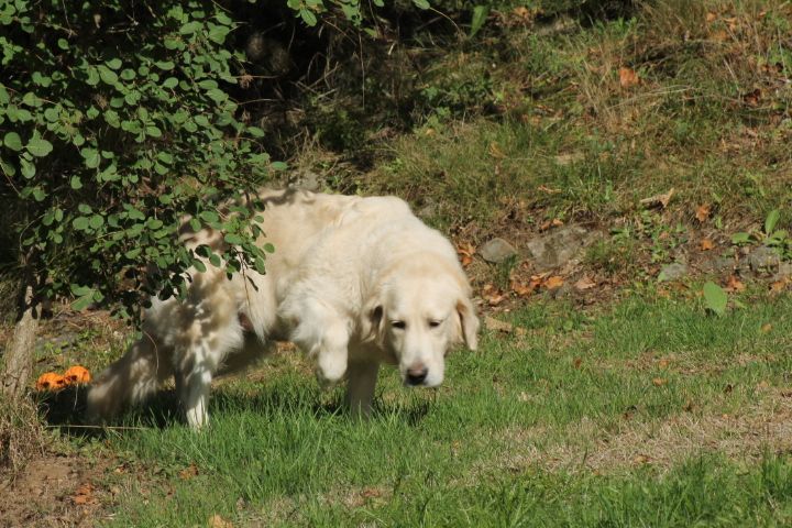 Publication : Du rivage des mille etangs Auteur : Christelle