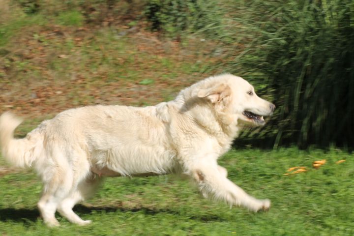 Publication : Du rivage des mille etangs Auteur : Christelle