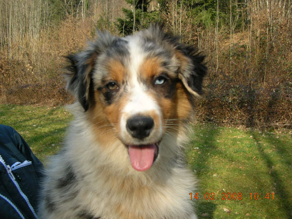 C'kiona Du rivage des mille etangs