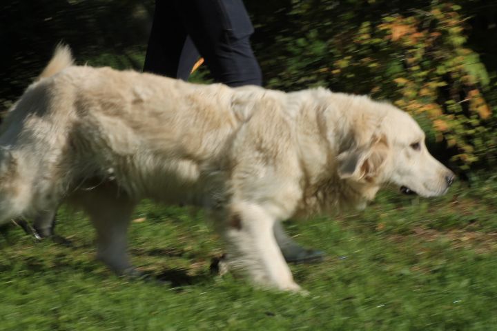 Publication : Du rivage des mille etangs Auteur : Christelle